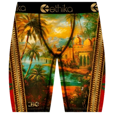 Ethika Kids' Boys   Where We Came From Underwear In Multi