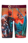 ETHIKA KIDS' FOREST TIGER BOXER BRIEFS