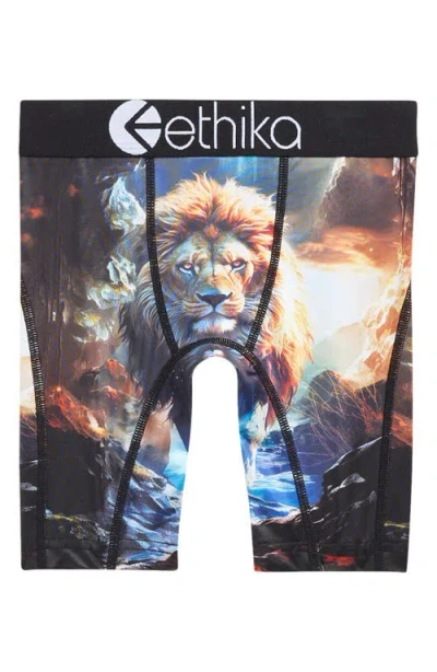 Ethika Kids' Lion Hearted Boxer Briefs In Blue