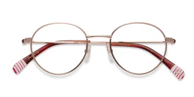 Etnia Barcelona Le Marais Iii Pg Occhiali Da Vista Oro Per Uomo (solo Montatura) In Multi