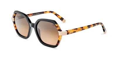 Etnia Barcelona Les Corts Bkhv Women's Sunglasses Black Size 54 In Brown