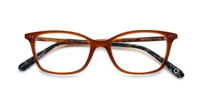 Etnia Barcelona Roses Women's Glasses, Brown, Size 50