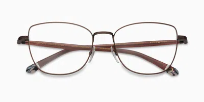 Etnia Barcelona Santa Cristina Men's Glasses, , Size 55 In Brown