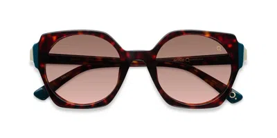 Etnia Barcelona Sants Hvpt Women's Sunglasses  Size 51 In Brown