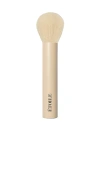 Etoile Collective Brush 02