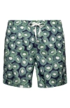 ETON KIWI SWIM TRUNKS