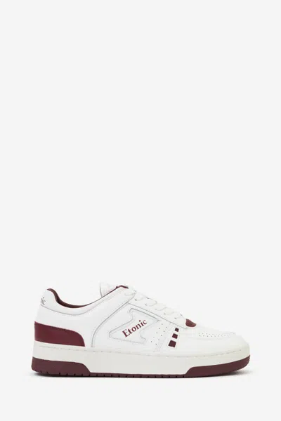 Etonic Trainers In White
