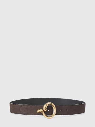 Etro Adjustable Suede Calfskin Leather Belt With Metal Buckle In Brown
