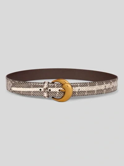 Etro Ayers Belt With Paisley Buckle In Brown
