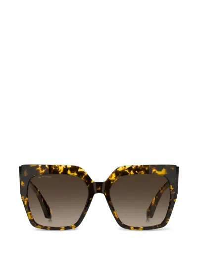 Etro Brown Sunglasses