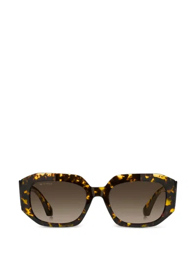 Etro Brown Sunglasses