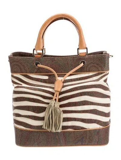 Pre-owned Etro Bucket Bag In Brown