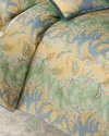 Etro Caladium 3-piece King Duvet Set In Multi