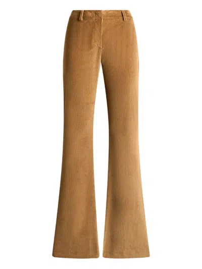 Etro Corduroy Velvet Trousers In Brown