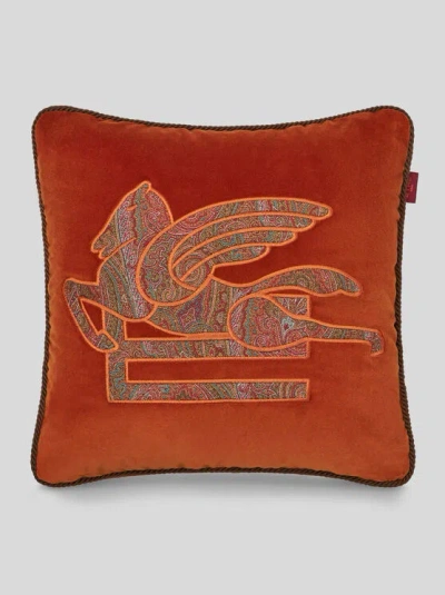 Etro Embroidered Cushion In Brown