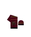 Etro Pegaso Hat And Scarf In Brown