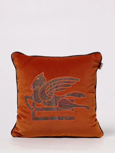 Etro Home Cushions Lifestyle  In Brown