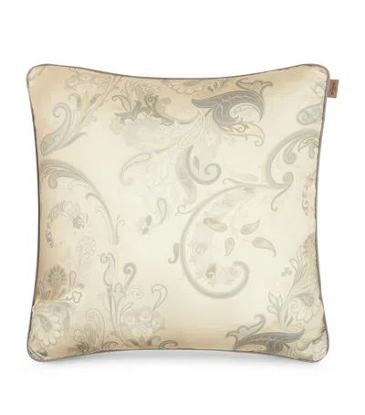 Etro Kentia Cushion In Grey