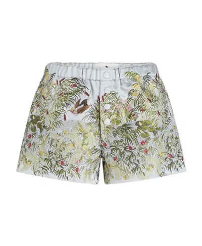 Etro Landscape Jacquard Shorts In Gray