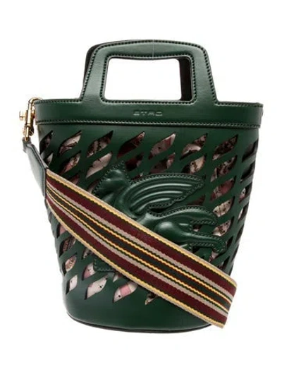 Pre-owned Etro Leather Bucket Bag In Green