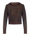 Etro Long Sleeve Sweatshirt In Brown