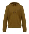 Etro Pegaso-embroidered Drawstring Hoodie In Brown