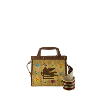 Etro Love Trotter Bag - Leather - Brown