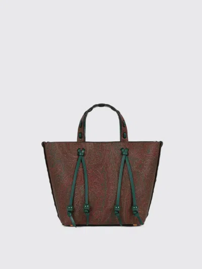 Etro Mini Bag  Woman Color Brown