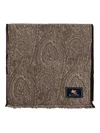 Etro Paisley-pattern Fringed Scarf In Brown