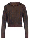 Etro Long Sleeve Sweatshirt In Brown