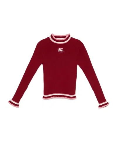 Etro Pegaso-embroidered Jumper In Burgundy