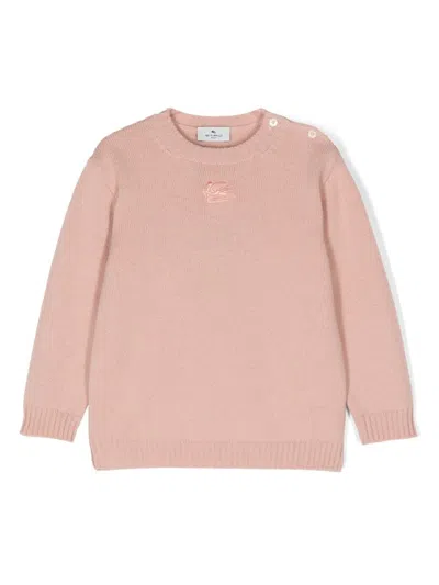 Etro Babies' Pegaso Embroidery Jumper In Pink