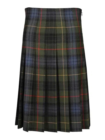 Etro Pleated Skirt In Multicolour