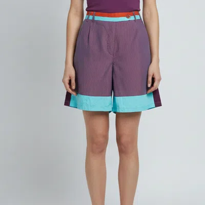 Pre-owned Etro Purple Colorblock Striped Cotton & Linen Shorts M