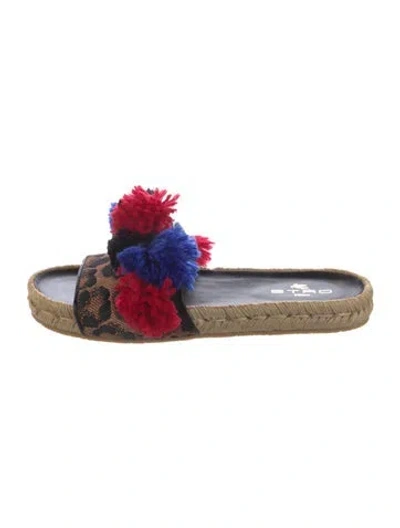 Pre-owned Etro Raffia Floral Print Espadrilles In Multi