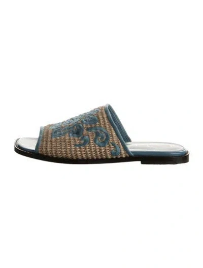 Pre-owned Etro Raffia Floral Print Slides In Blue