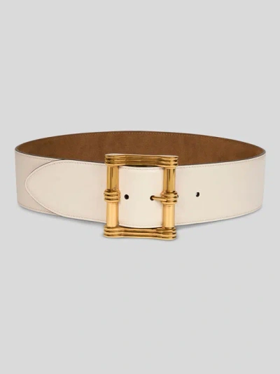 Etro Reversible Leather Maxi Belt In Neutrals