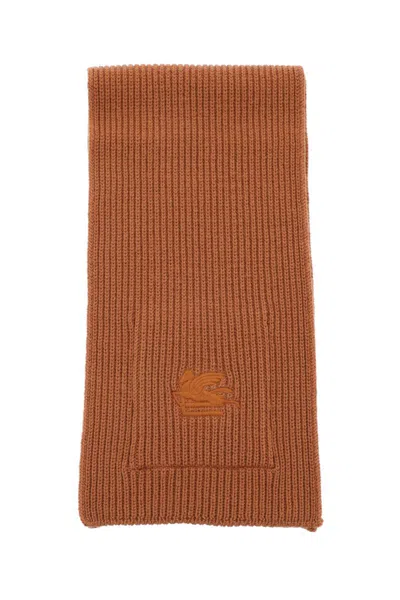 Etro Ribbed Wool Scarf In Brown