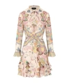 Etro Ruffled Mini Dress In Nude