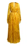 Etro Ruffled-neck Silk Maxi Dress In Yellow