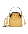 Etro Saturno Leather Mini Bag In Yellow