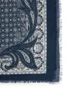 Etro Scarf In Blue