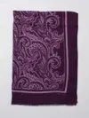 Etro Scarf Men  In Brown