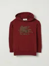 Etro Sweater  Kids Color Brown In Red