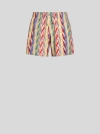 Etro Gestreifte Badeshorts In Multicolour