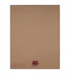 Etro Wool Alisso Throw In Brown