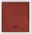 Etro Wool Throw In Brown