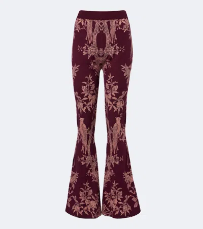 Etro Wool-blend Jacquard Flared Pants In Burgundy