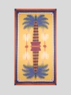 Etro X Agostino Iacurdi Maxi Printed Scarf