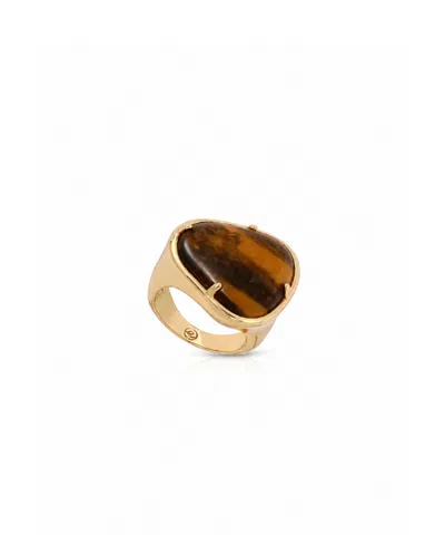 Ettika 18k Gold-plated Tiger's Eye Solstice Ring In Multi